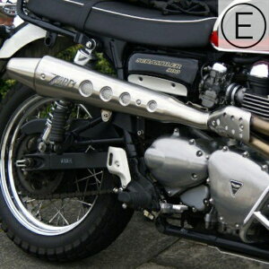 ��� �X�N�����u���[900 �t���G�L�]�[�X�g�}�t���[ "CONIC" E�}�[�N�t�� ZARD