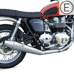 {lr T100/XNXg900 tGL][Xg}t[ "CONICAL LOW MOUNT" E}[Nt ZARD