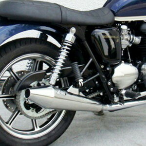 {lr T100 SE XbvI}t[ "CONICAL" ZARD