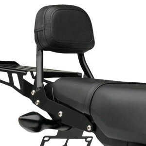 z_ O 21- ~jV[V[o[ obNXg ubN COBRA(Ru)