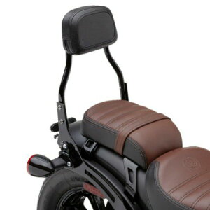 CfBA XJEg{o[/XJEg[O ~jf^b`uV[V[o[ obNXg ubN COBRA(Ru)