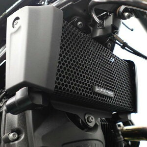 BMW R12/R12nineT (24-) ���W�G�[�^�[�K�[�h �u���b�N Evotech Performance