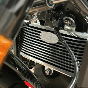BMW R12/R12nineT ���W�G�[�^�[�K�[�h �V���o�[ TYPE-B DK�f�U�C��