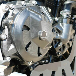 BMW F900R/F900GS/GS�A�h�x���`���[ �G���W���P�[�X�J�o�[�Z�b�g T-REX Racing