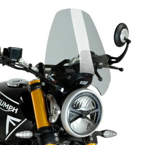 gCAt Xs[h400/XNu[400X XN[ j[WFl[VX|[c X[N Puig(v[`)