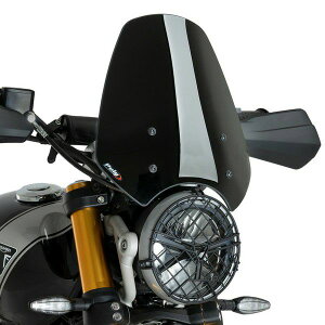 gCAt Xs[h400/XNu[400X XN[ j[WFl[VX|[c ubN Puig(v[`)