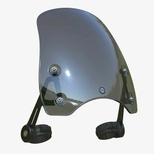 RnineT �X�N�����u���[/�s���A �X�N���[�� �}�[����S3 �_�[�N�X���[�N DART FLYSCREEN