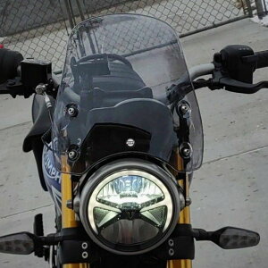 gCAt Xs[h400 }[S3 CgX[N DART FLYSCREEN