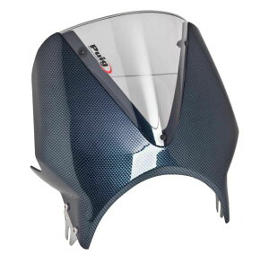 PUIG wbhCg}Eg^ ėptCXN[ VisionJ[{bNtFAO/VisioX[N