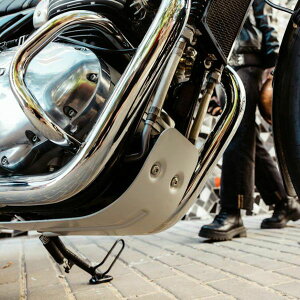 yzCGtB[h C^[Zv^[650/R`l^GT650 A~XLbh/A_[K[h Vo[ Hitchcocks Motorcycles