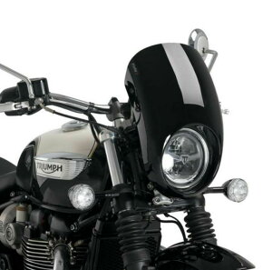 PUIG �w�b�h���C�g�J�E�� Anarchy �u���b�N TRIUMPH �{���l�r���X�s�[�h�}�X�^�[ (2018-2024)