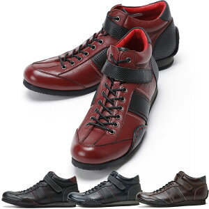 �X�j�[�J�[ �X���[�W�F�l���[�V�����Y NI-4430 �m�C�C���e���b�Z �R���{���f�� �� �V���[�Y three generations