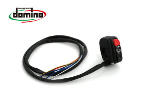 domino �h�~�m�ėp �n���h���X�C�b�`