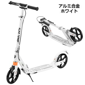 y10/4 20~ő2000~N[|+P5zLbN{[h LbNXN[^[ 8C` ܂肽 q l 傫^C nhu[L  ω׏d100kg xgt ^ LbNXP[^[ L