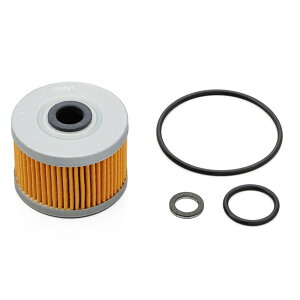 �f�C�g�i 31020 �o�C�N�p �I�C���t�B���^�[ O�����O �h�������b�V���[ KLX230/R/S/R S�Ȃ� �I�C�������p�[�t�F�N�g�Z�b�g