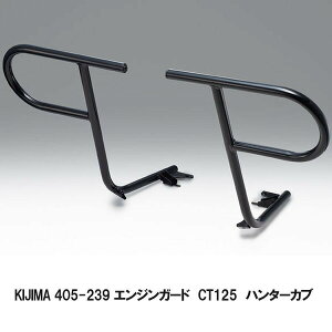 LW} 405-239 GWK[h CT125 n^[Ju 20Y[ ubN