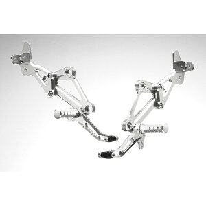 XgCJ[ XyVXebvLbg [t@[1100 Type2 ^ft SL SS-AA202SLT