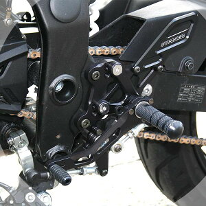 �X�g���C�J�[ �X�y�V�����X�e�b�v�L�b�g Ninja250SL/ABS BK 4�|�W�V���� SS-AA2126B