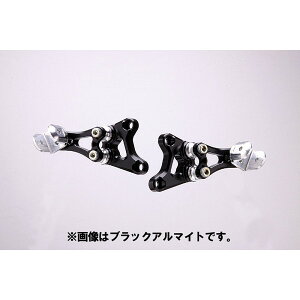 �X�g���C�J�[ �X�y�V�����^���f���X�e�b�v�L�b�g ZRX1100/1200/DAEG SL SS-AA3101SL2