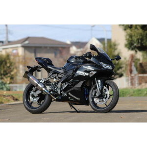 XgCJ[ [C^[f] SCtEX}t[ JMCA 4-2-1 STD yNinjaZX-25R/SE -'22 OFF-TypeB `^\bhz 941573IMJ