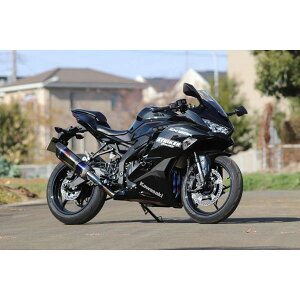 XgCJ[ [C^[f] SCtEX}t[ JMCA 4-2-1 STD yNinjaZX-25R/SE -'22 OFF-TypeB `^q[gz 941573IMJ-H