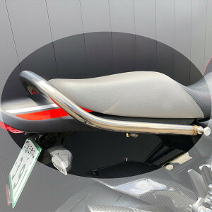 XgCJ[iSTRIKERj [NX IWip[c `^JX^Ouo[ SW-GB141-M ~[tBjbV Z900RS/CAFEAZ650RS