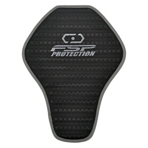 tbOVbviFLAGSHIPj FSP-100 EFCuXgN`[ obNveN^[iFLAGSHIPEELFʁjubN