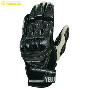 CG[R[ YG-351 O[u ubN 2024tĐV