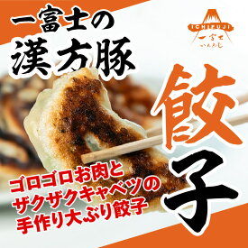 【漢方豚餃子】【送料無料】漢方豚入り冷凍餃子　1pack 10個入 350g 冷凍生餃子　ぎょうざ　ギョウザ　ギョーザ　中華食堂 一富士