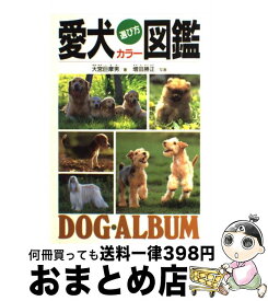 楽天市場 ウォーリー 犬の通販