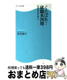 楽天市場 就職氷河期 新書の通販