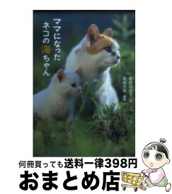 楽天市場 ママになったネコの海ちゃんの通販