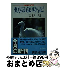 楽天市場 いくえみさんちの白い犬の通販