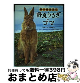 楽天市場 野良うさぎの通販