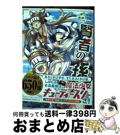 【中古】 賢者の孫　（17） / 緒方俊輔 / KADOKAWA [コミック]【宅配便出荷】