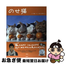 楽天市場 かご猫シロ カレンダーの通販