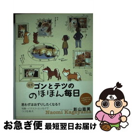 楽天市場 柴犬ゴンとテツののほほん毎日の通販 楽天市場 柴犬ゴンとテツののほほん毎日の通販