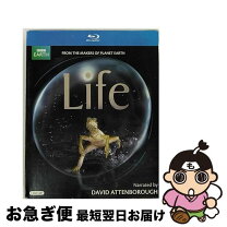 楽天市場】life bbcの通販 