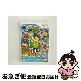 【中古】 ファミリートレーナー/Wii/RVLRRFAJ/A 全年齢対象 / バンダイ【ネコポス発送】