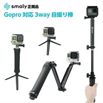 楽天市場】アクションカメラ 付属品の通販