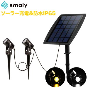 y12/62l1lőP100%obN&ő99%OFF CPz\[[Cg K[fCg \[[ led X|bgCg K[f\[[Cg O  h ZT[ Cg x_  邢 