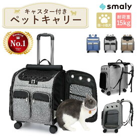 【MAX50%OFFクーポン】ペットキャリー リュック キャスター付き 猫 キャリーバッグ 犬 小型犬 中型犬 キャリーケース メッシュ 窓 散歩 折りたたみ 通気性 リュック カート 耐荷重 15kg お出かけ 旅行 車 ドライブ
