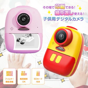 y11/152l1lőP100%obN&ő50%OFF CPzvgJ LbYJ gCJ CX^gJ t@[XgX}CJ vgfWJ  T[}MΉ Lb