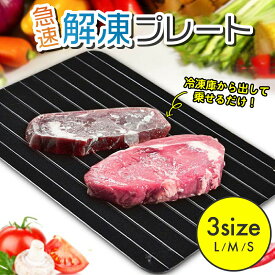 【MAX50%OFFクーポン】解凍プレート 急速解凍 選べるサイズ アルミ スピード 解凍 プレート 解凍板 解凍まな板 解凍ツール 業務用 家庭用 自然解凍 鮮度維持 粗熱取り 食品解凍 肉 刺身 冷凍食品 省エネ 超薄型 軽量 お手入れ楽 便利グッズ