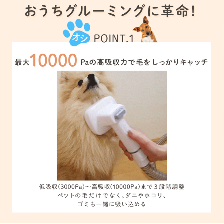 楽天市場】【2/22☆2人に1人最大P100%バック&最大99%OFF CP】 2025年新