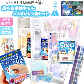 文房具セット実験キット 小学生 女の子 文具セット かわいい 小学校 女子 文房具 文具 筆記具 実験 理科 実験シリーズ 夏休み 高学年 低学年 こども 誕生日 プレゼント 筆記用具 ステーショナリーセット 景品 子供会 ギフト クリスマス
