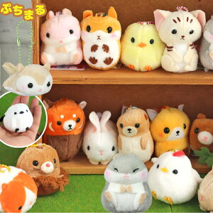 Ă̂ʂ 킢 ̎q Ղ܂ DX  ʂ  Xgbv Č Vo  q ǂ L[`F[t Ă̂ w wN ct  Aj} j̎q q 