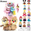 【2個セット】 ディズニー ミニバルーン ぬいぐるみ 2個 ミニバルーン花束付き バルーン ミッキー ミニー ドナルド 風船 小学生 幼稚園 女の子 誕生日 プレゼント 子供 女子 低学年 成人式 発表会 結婚式 結婚式 卒業式 入学式 入学 卒業 卒園 クリスマス