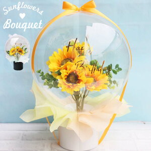 o[ t[ ANAo[ Ђ܂ u[P bZ[Wo[ v[g Mtg  TvCY o[Mtg o[t[ a l EFfBO \  