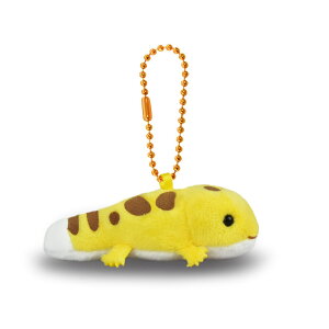 Ă̂ʂ 킢 ̎q Ղ܂ I[X^[ DX ʂ  Xgbv q Ă̂ p_  Jso CI JE\ ApJ L ]E RA JI 